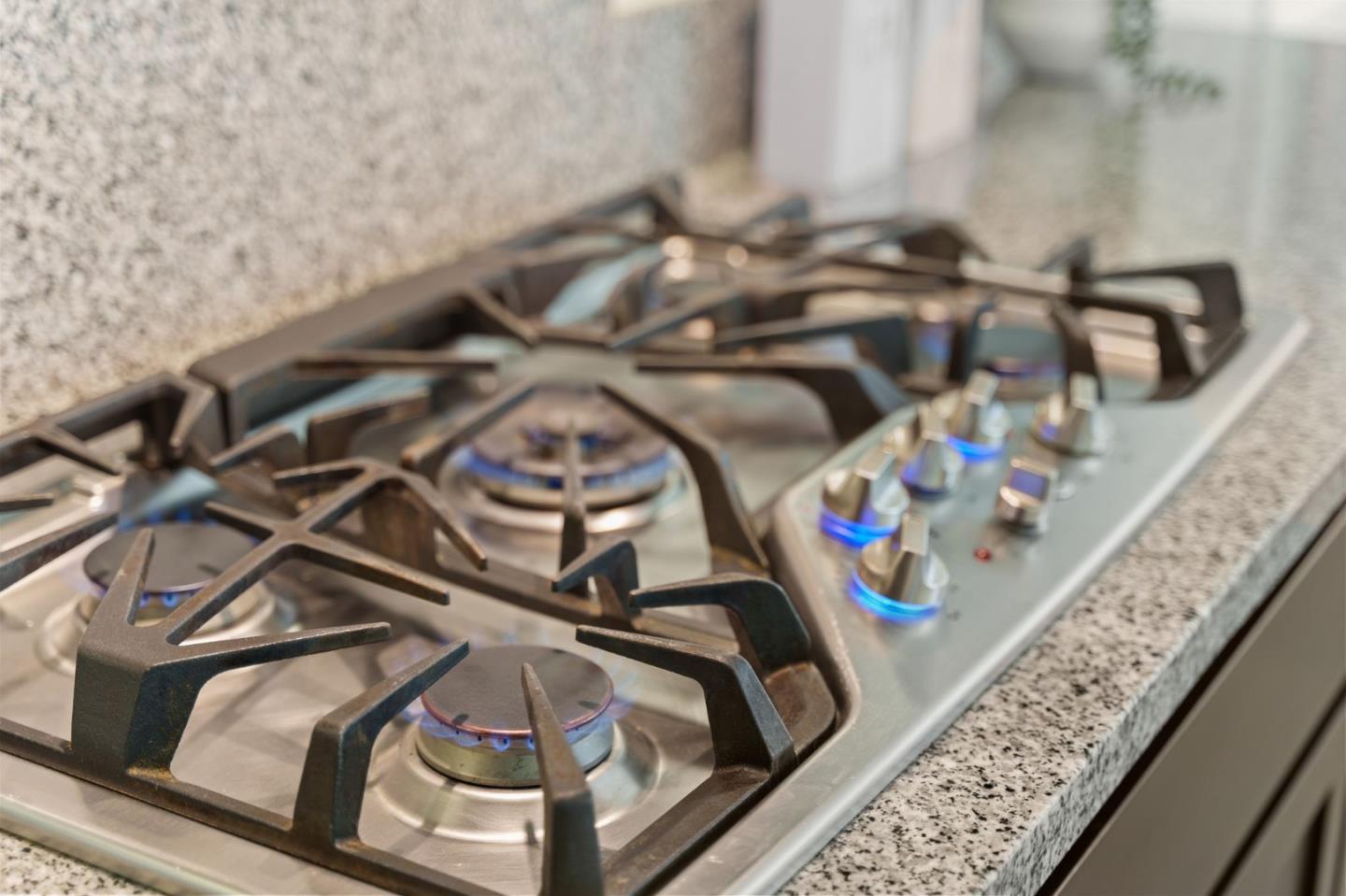 1307 Cordilleras AVE