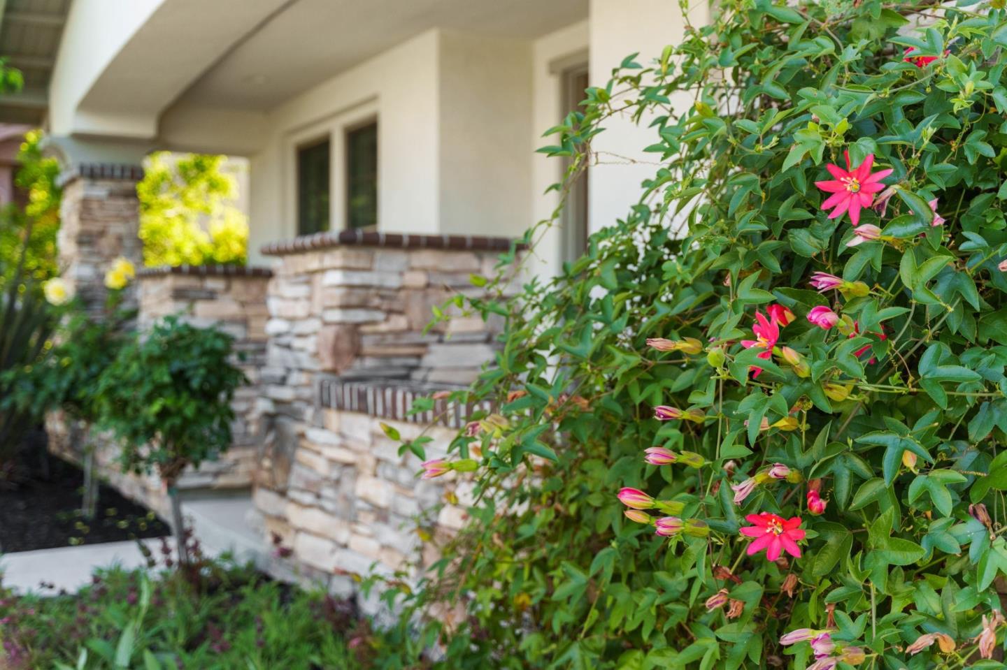 1307 Cordilleras AVE