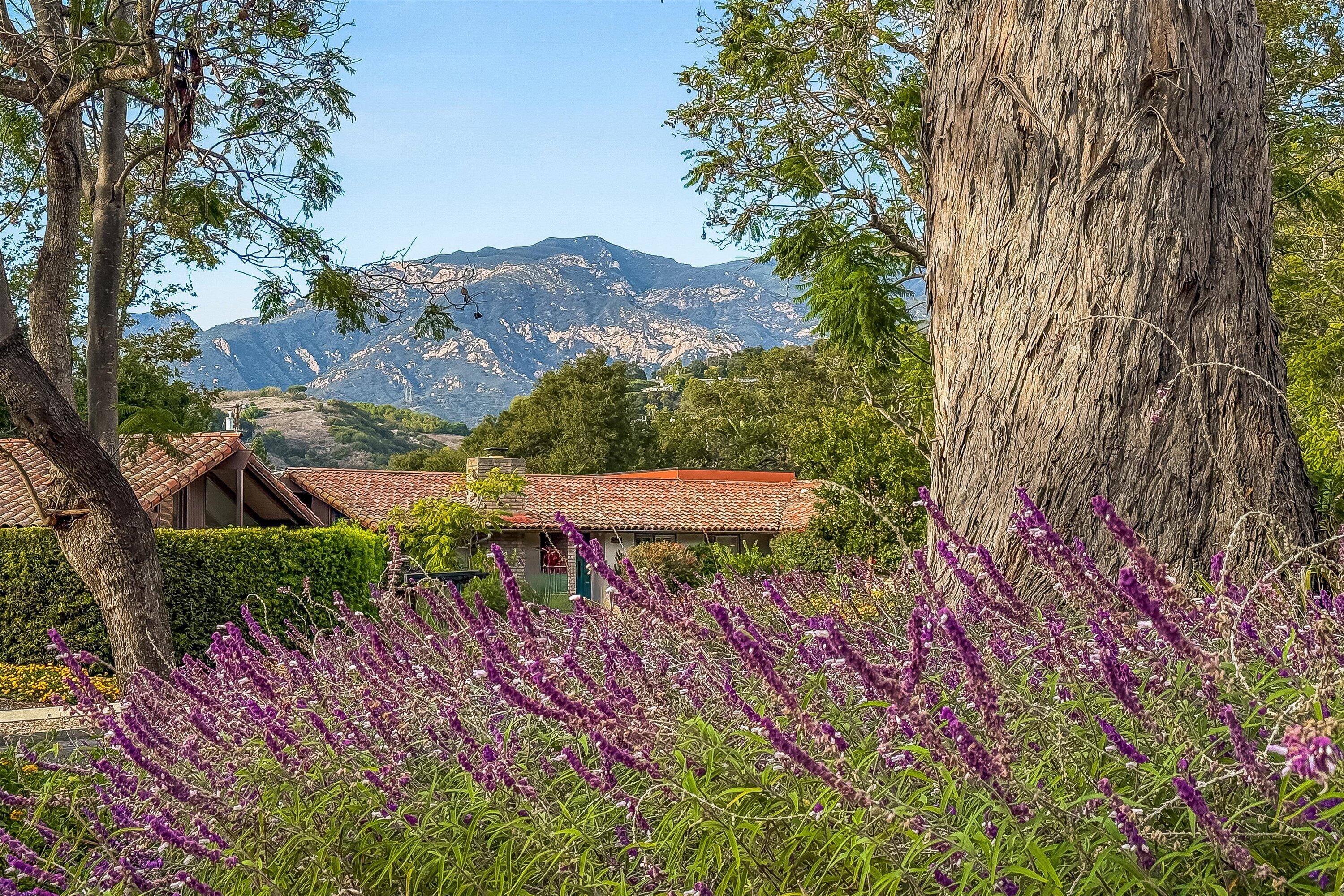 2727 Miradero Drive, 104