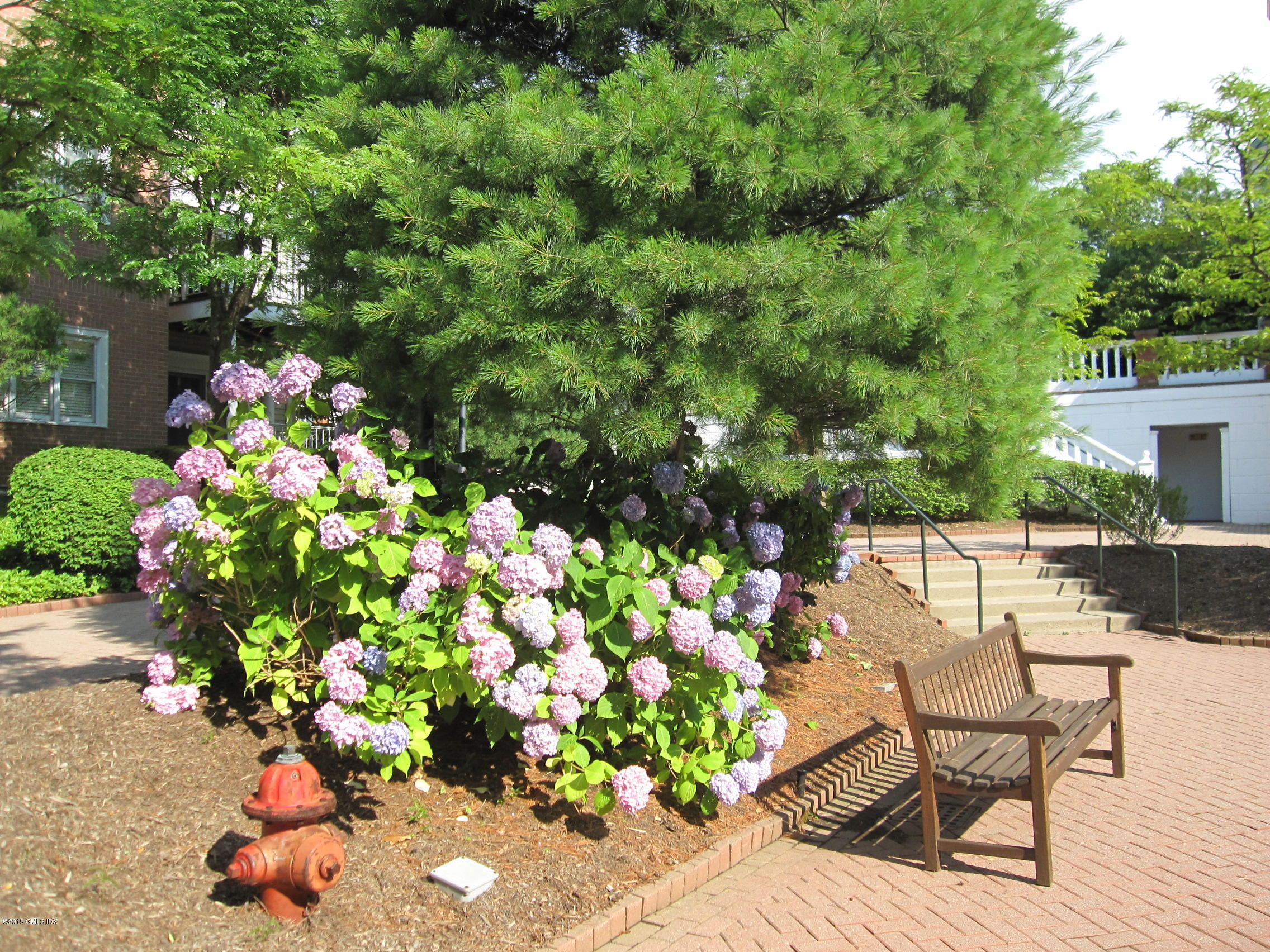 51 Forest Avenue APT 153