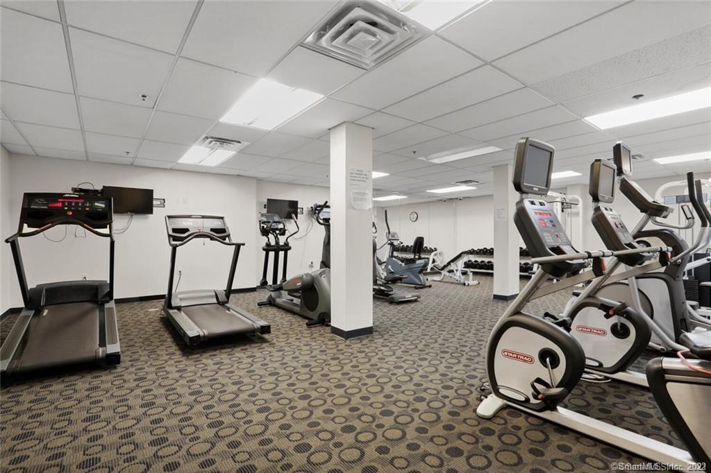 59 Courtland Avenue Unit: 1U