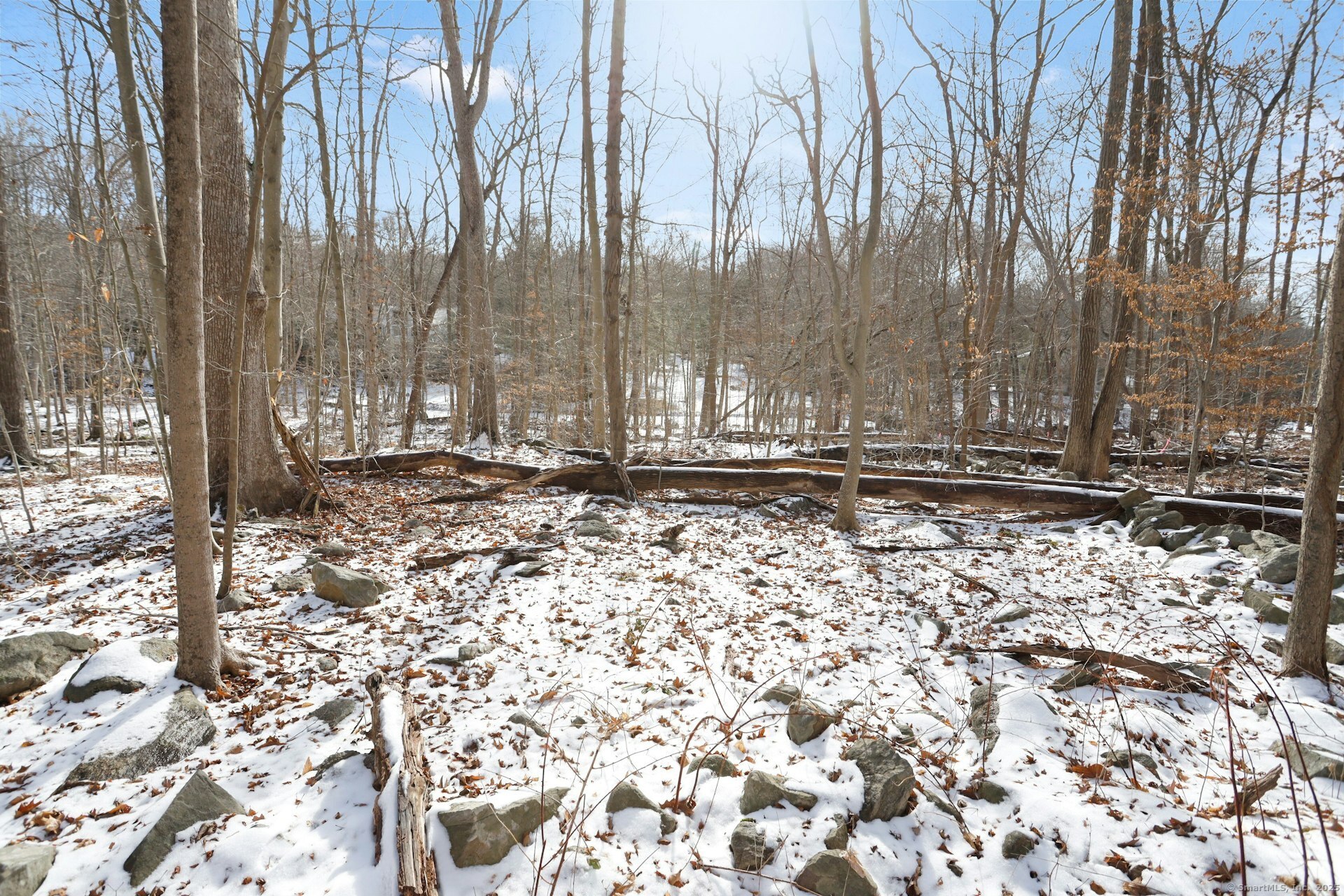 18 Hunt Lane