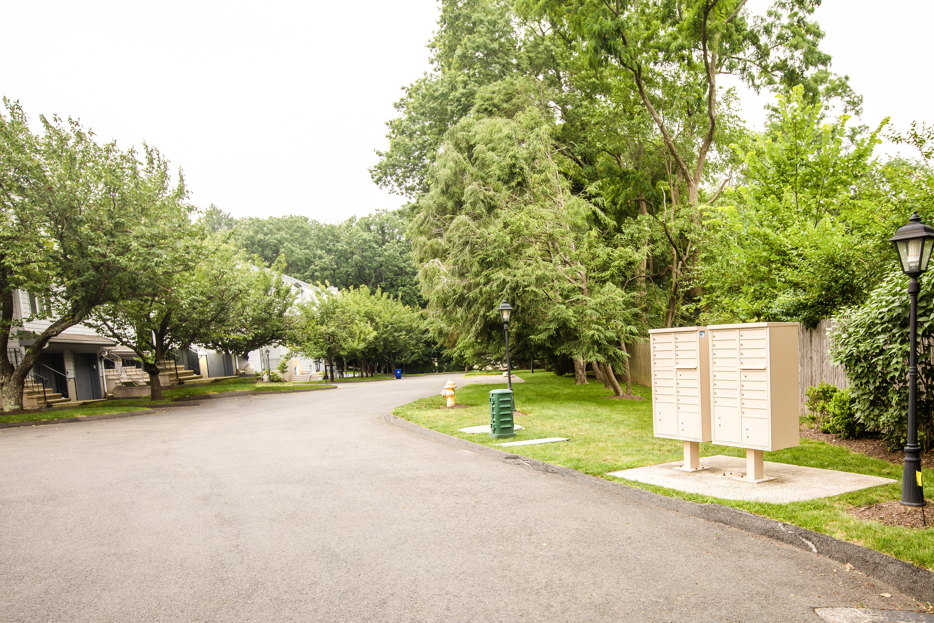 65 Wolfpit Avenue APT 2C