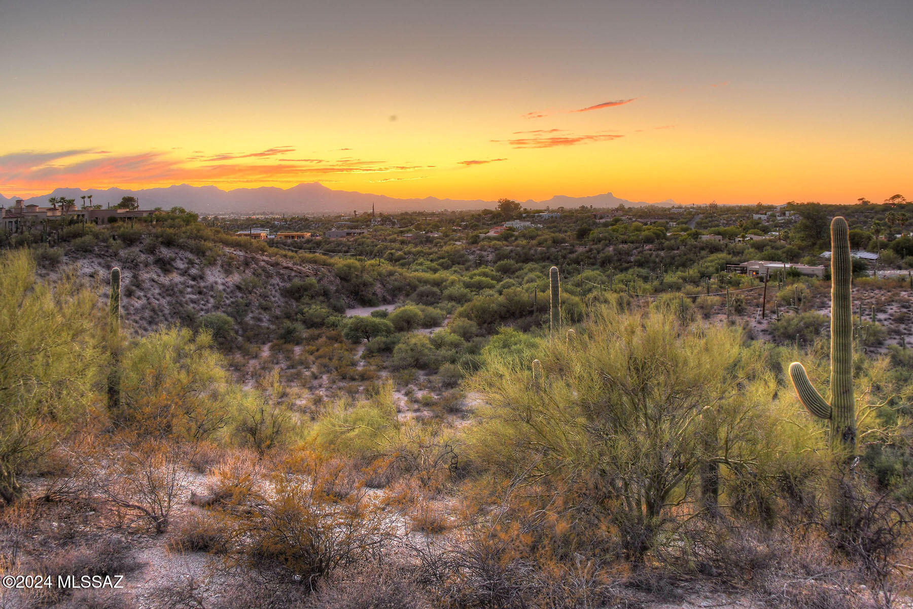 5195 N Camino Antonio Lot 8