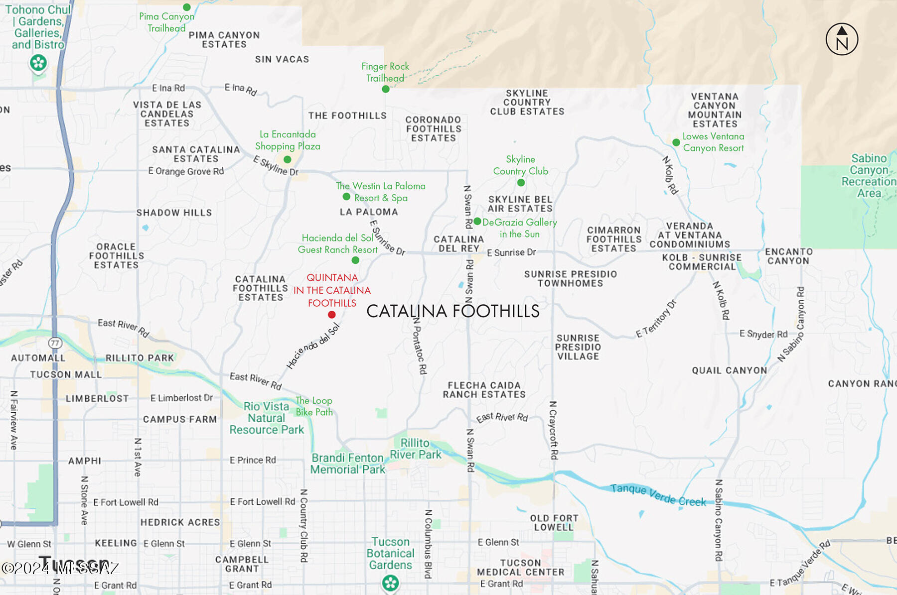 5195 N Camino Antonio Lot 8