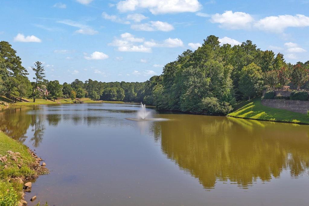 3401 Lake McGinnis Drive