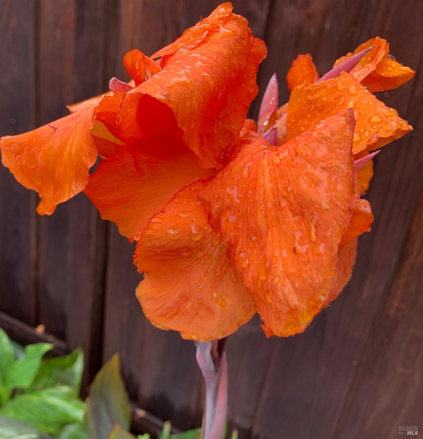 608 Terra Linda Court