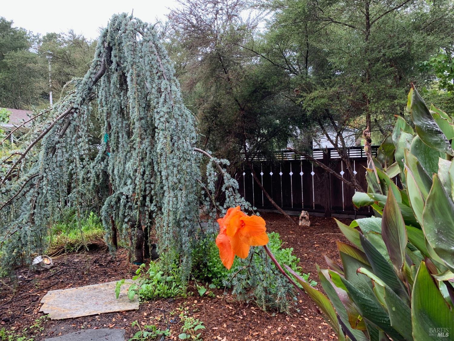 608 Terra Linda Court