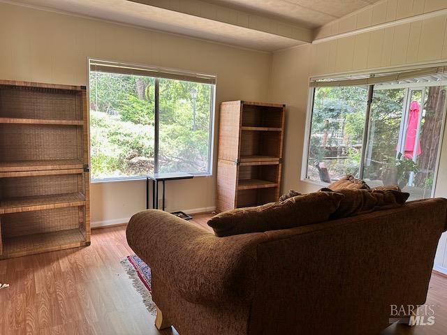 31 Springhill Court