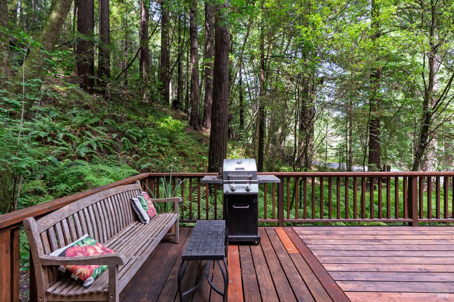 1145 Cazadero Highway