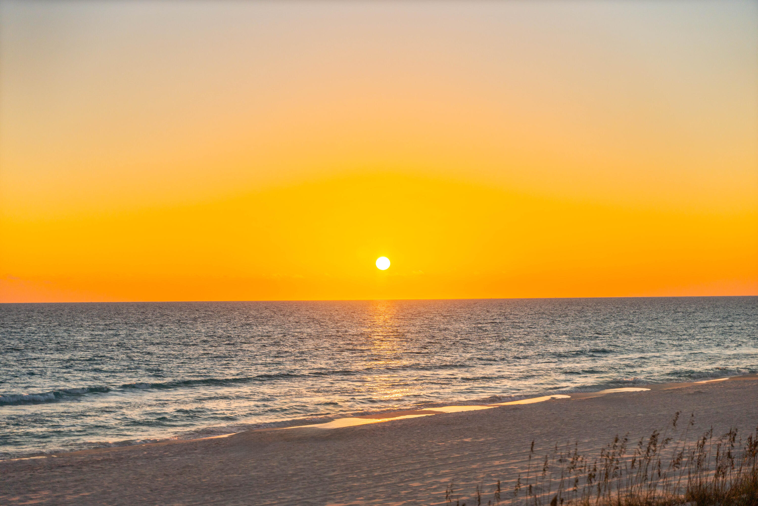 100 S Spooky Lane # 7-A