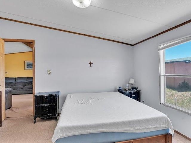 353 Avenida de Veronica