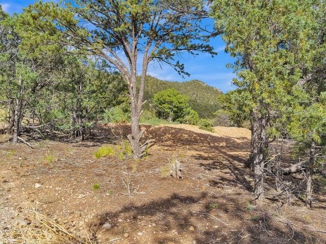 Lot 85 Upper Pinabete Road