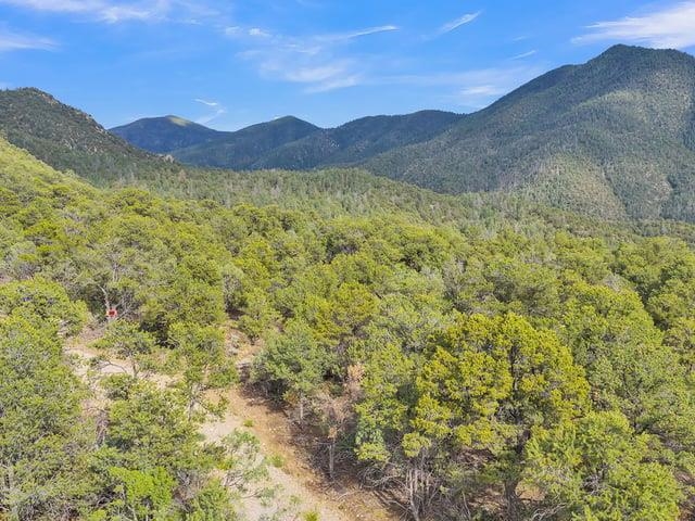 Lot 85 Upper Pinabete Road