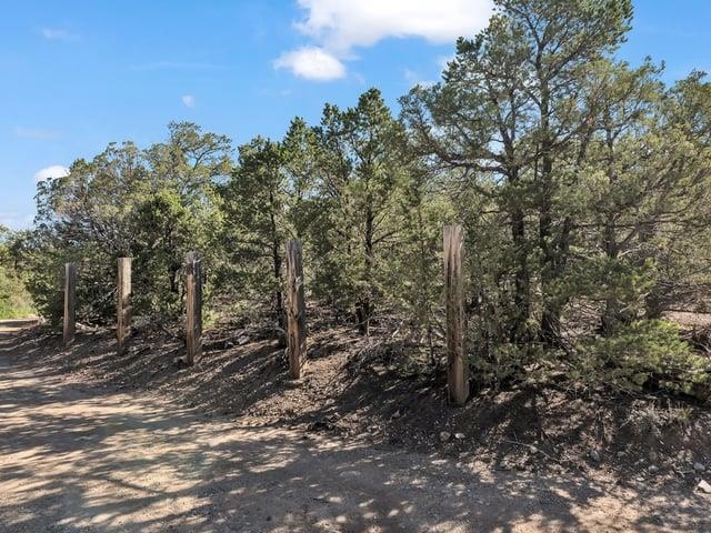 Wooded vacant lot with a dirt road and weathered fence posts.