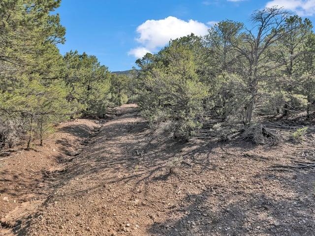 Lot 83 Upper Pinabete Road