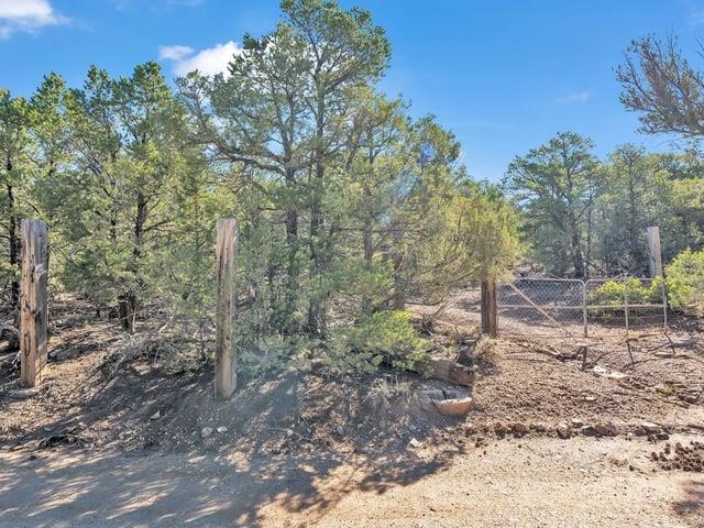 Wooded vacant lot with a rustic fence and metal gate beside a dirt road.