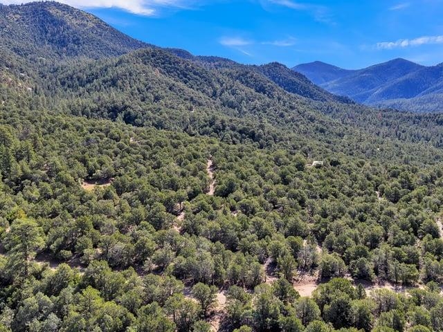 Aerial view of a wooded vacant lot with a dirt road and surrounding mountain ranges.