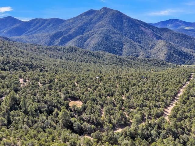 Wooded vacant lot with a dirt road and mountain range in the distance.
