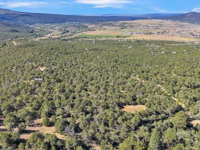 Aerial view of wooded land with scattered clearings and distant mountain ridges.