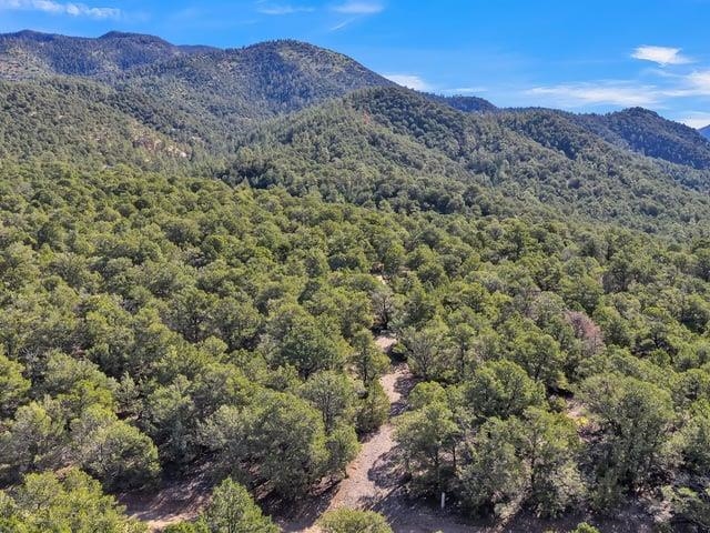 Aerial view of a wooded vacant lot with a dirt track and forested mountains.
