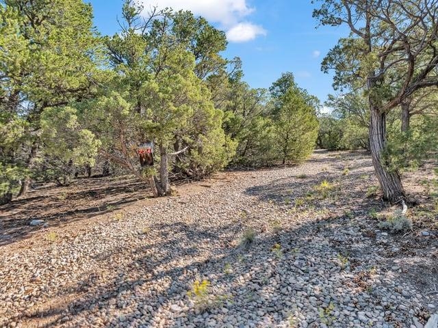 Lot 84 Upper Pinabete Road