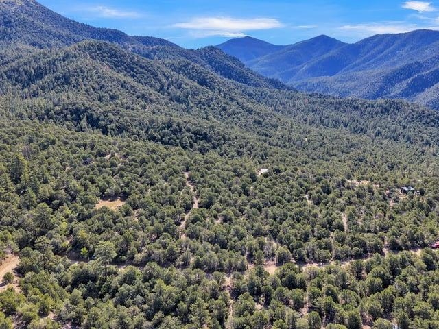 Aerial view of wooded land with distant mountain ridges and scattered buildings.