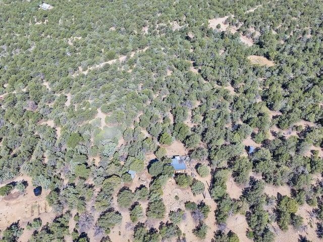 Aerial view of wooded land with winding dirt tracks and a few scattered buildings.