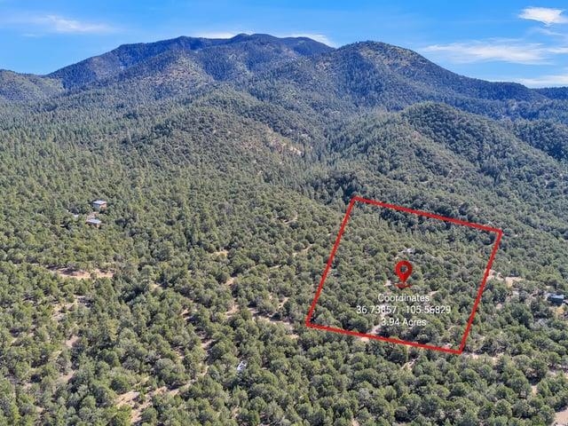 Wooded 3.94-acre parcel outlined in red on a forested mountain slope.