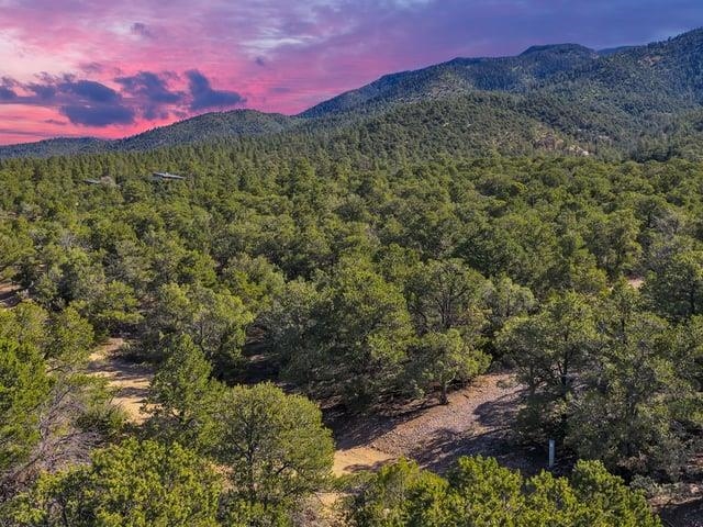 Wooded mountain lot with a rocky clearing beneath forested peaks at a pink dusk sky.