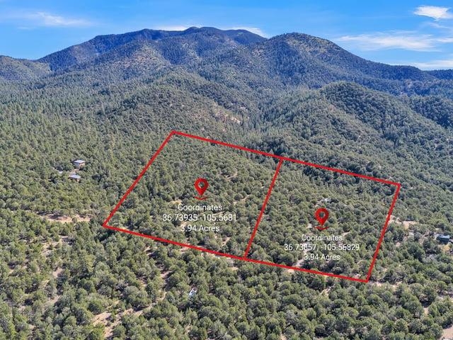 Aerial view of red-outlined forested parcels with map pins and mountains beyond.