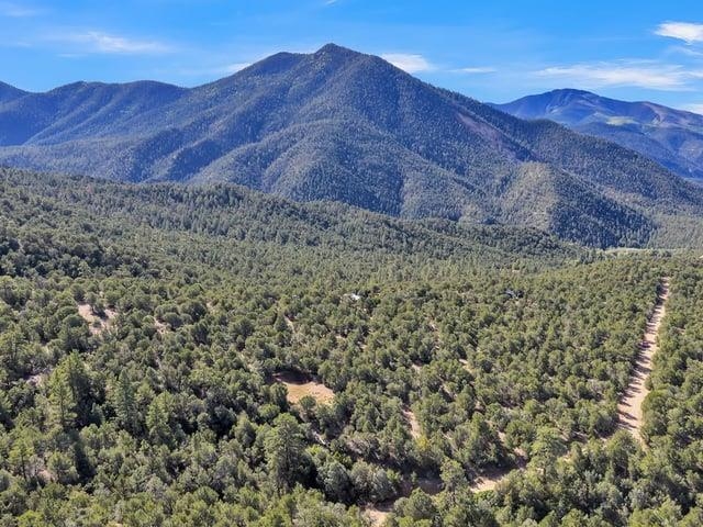 Lot 83 and 84 Upper Pinabete Road