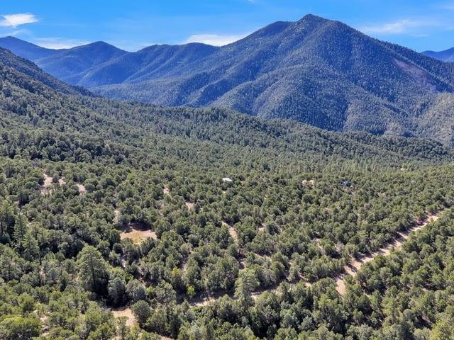 Lot 83 and 84 Upper Pinabete Road