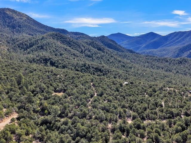 Lot 83 and 84 Upper Pinabete Road