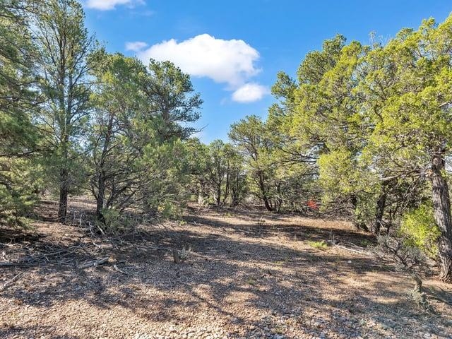 Lot 83 and 84 Upper Pinabete Road