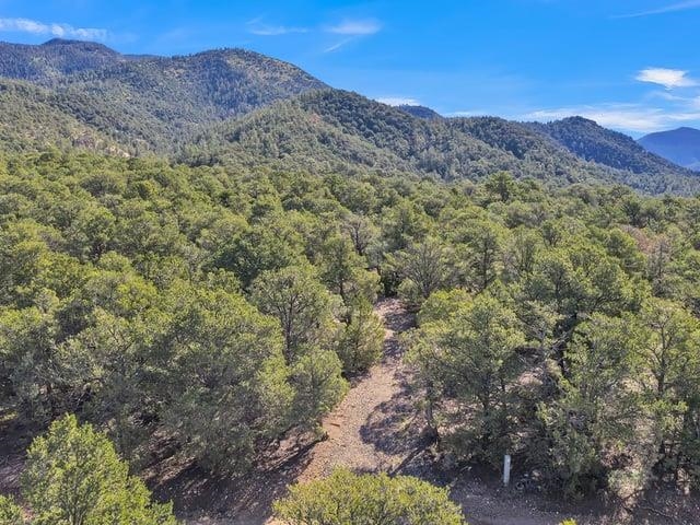 Lot 83 and 84 Upper Pinabete Road