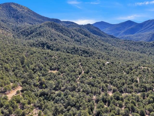 Lot 83 and 84 Upper Pinabete Road