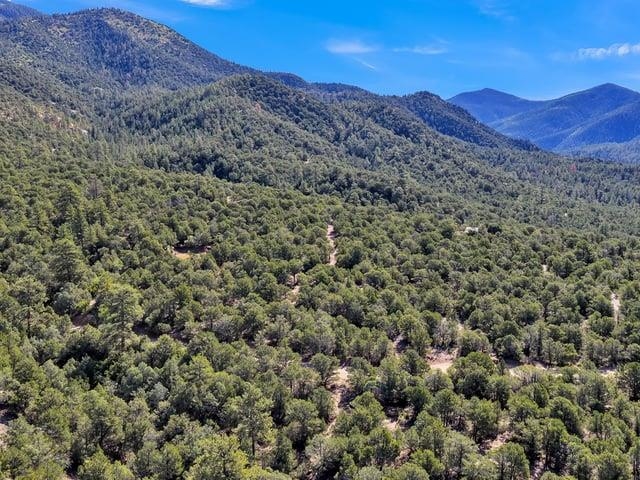 Lot 83 and 84 Upper Pinabete Road
