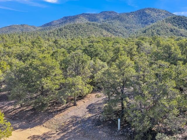 Lot 83 and 84 Upper Pinabete Road