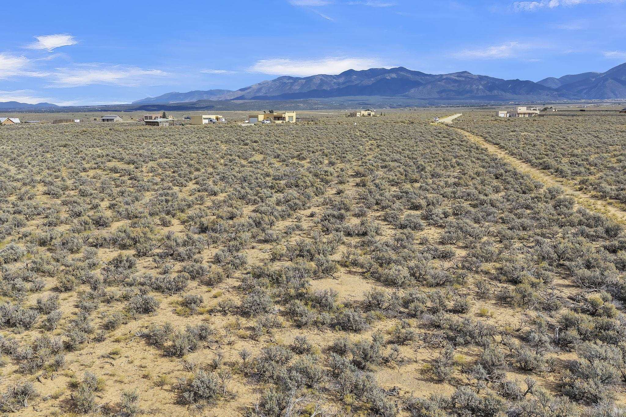 Scrub-covered vacant land with a dirt track and distant mountain range.