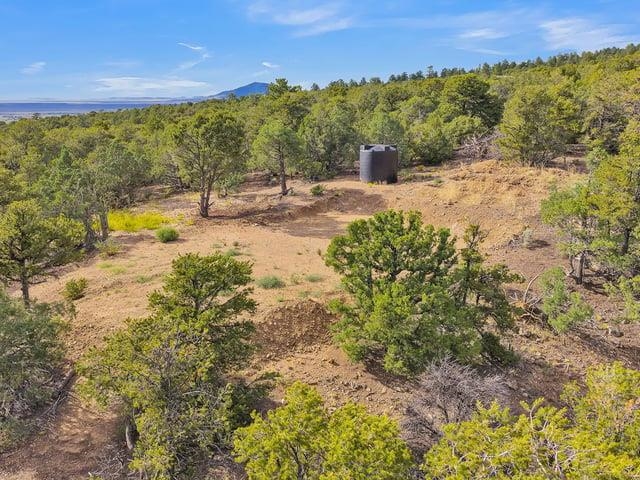 Lot 85 Pinabete Road