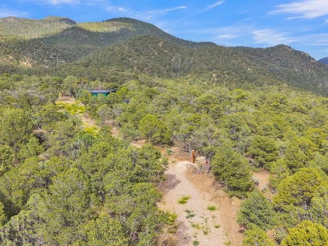 Lot 85 Pinabete Road