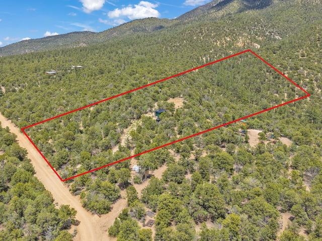 Aerial view of wooded lot outlined in red beside a dirt road, with mountains beyond.