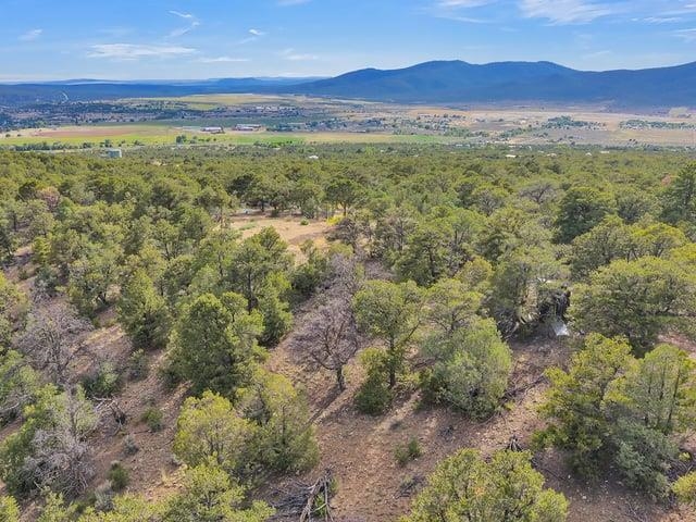 Aerial view of a wooded lot with a valley and distant mountain views.