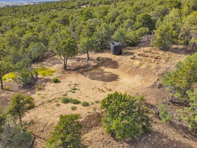 Lot 85 Pinabete Road