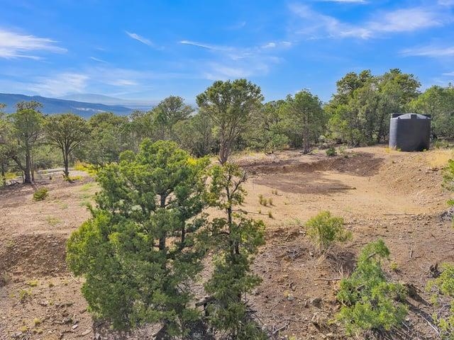 Wooded vacant lot with cleared ground, a water tank, and distant mountain views.
