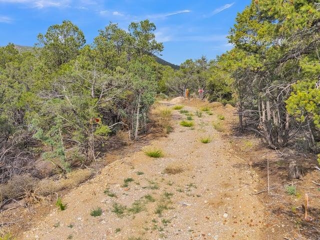 Vacant wooded lot with a rocky dirt track, pine trees, and a distant mountain ridge.