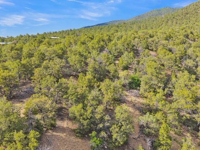 Aerial view of a wooded lot with open ground and a forested mountain ridge beyond.