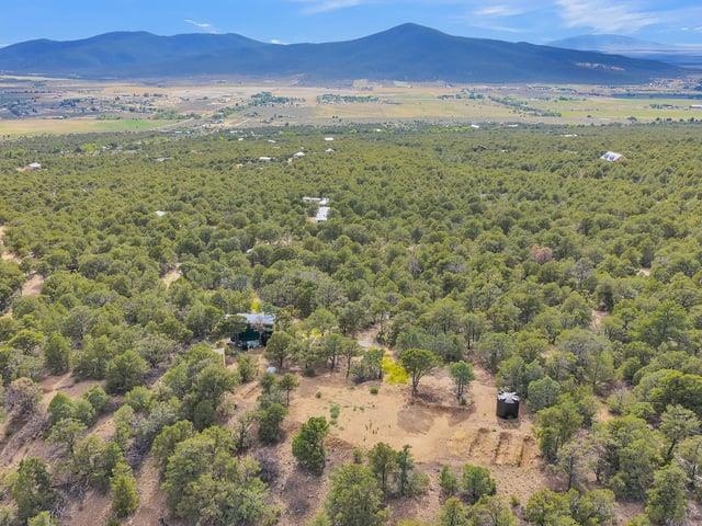 Aerial view of a wooded lot with a clearing and distant mountains.