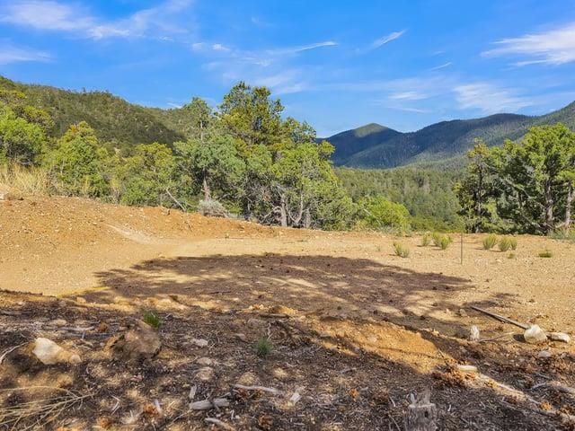 Lot 85 Pinabete Road